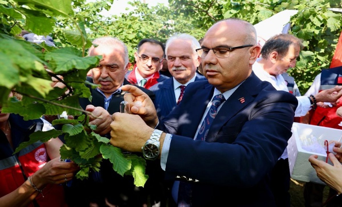 130 Bin Samuray Arısı Doğaya Salındı