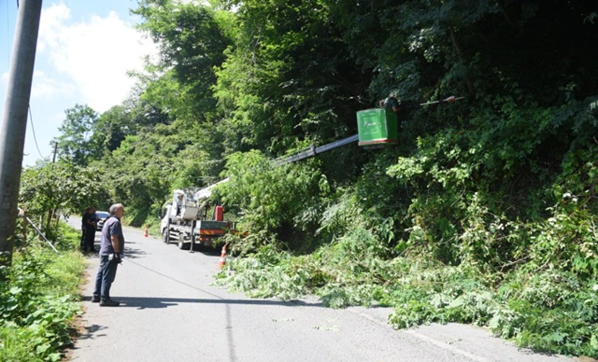 Giresun Belediyesi Çevre Düzeni İçin Sahada