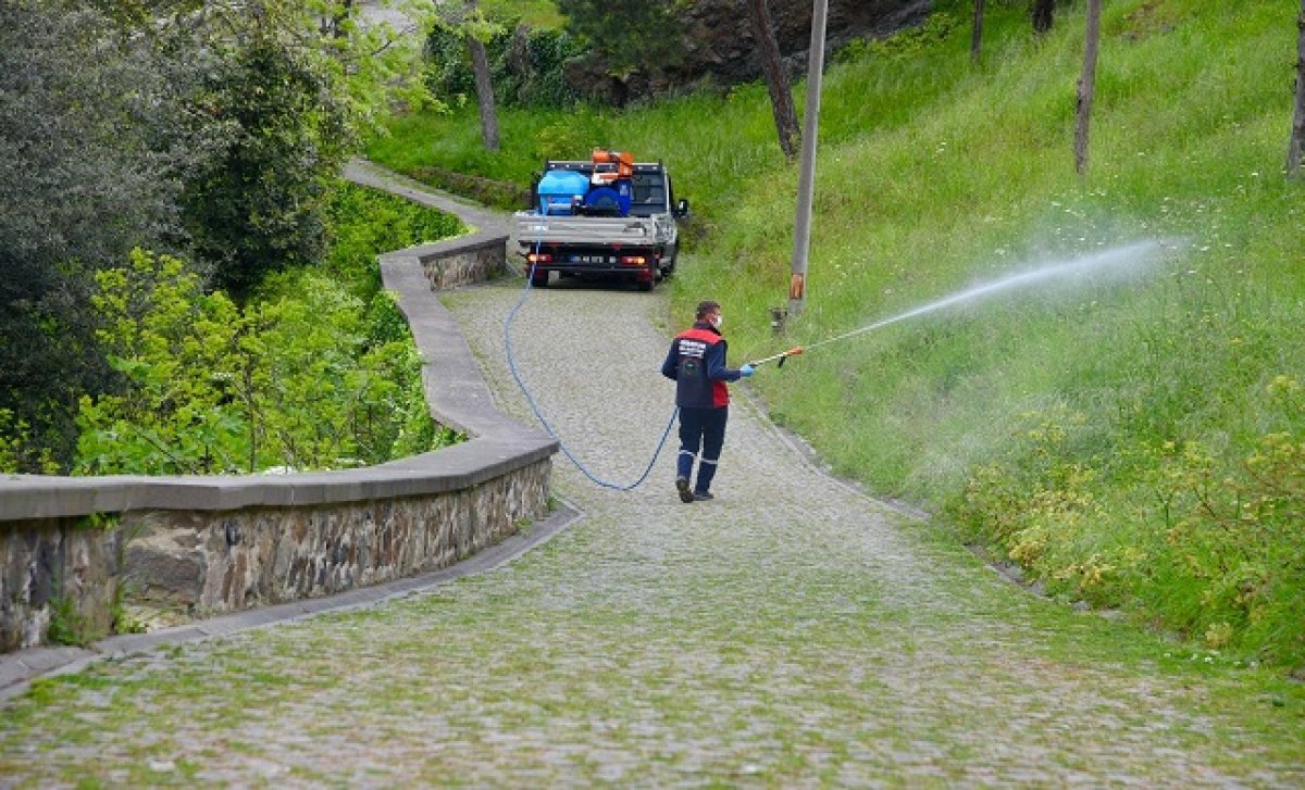 Giresun Kalesi'nde İlaçlama Çalışması Gerçekleştirildi