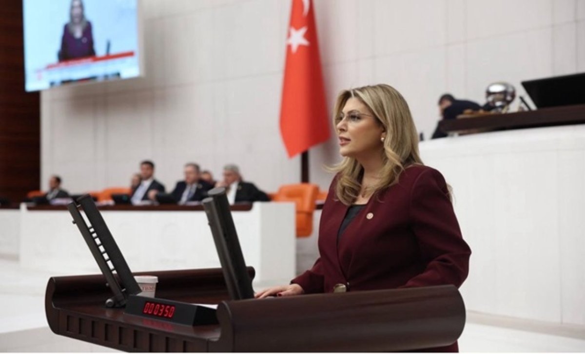 YENİ Parti Giresun Milletvekili Gezmiş ''Güney Çevre Yolu Hayata Geçirilmeli''