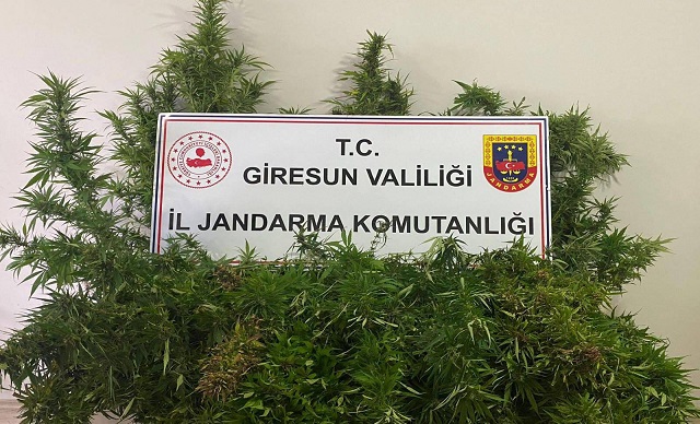 Jandarmadan Başarılı Operasyon!