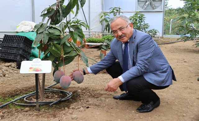 ORDU’DA YENİ TREND