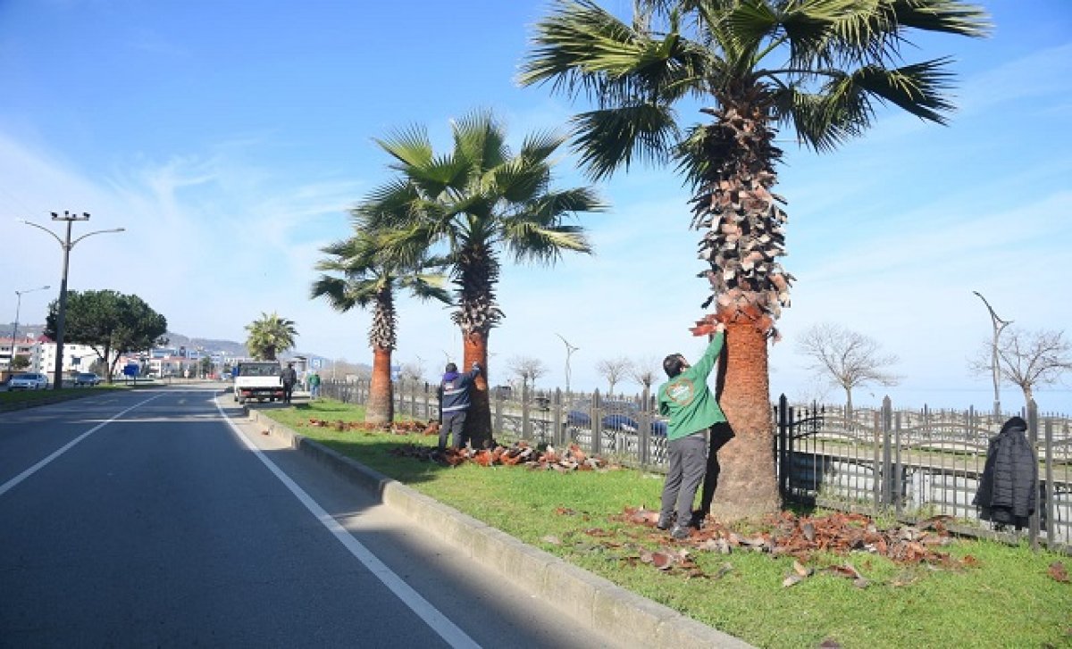 YEŞİLLENDİRME SEFERBERLİĞİ!