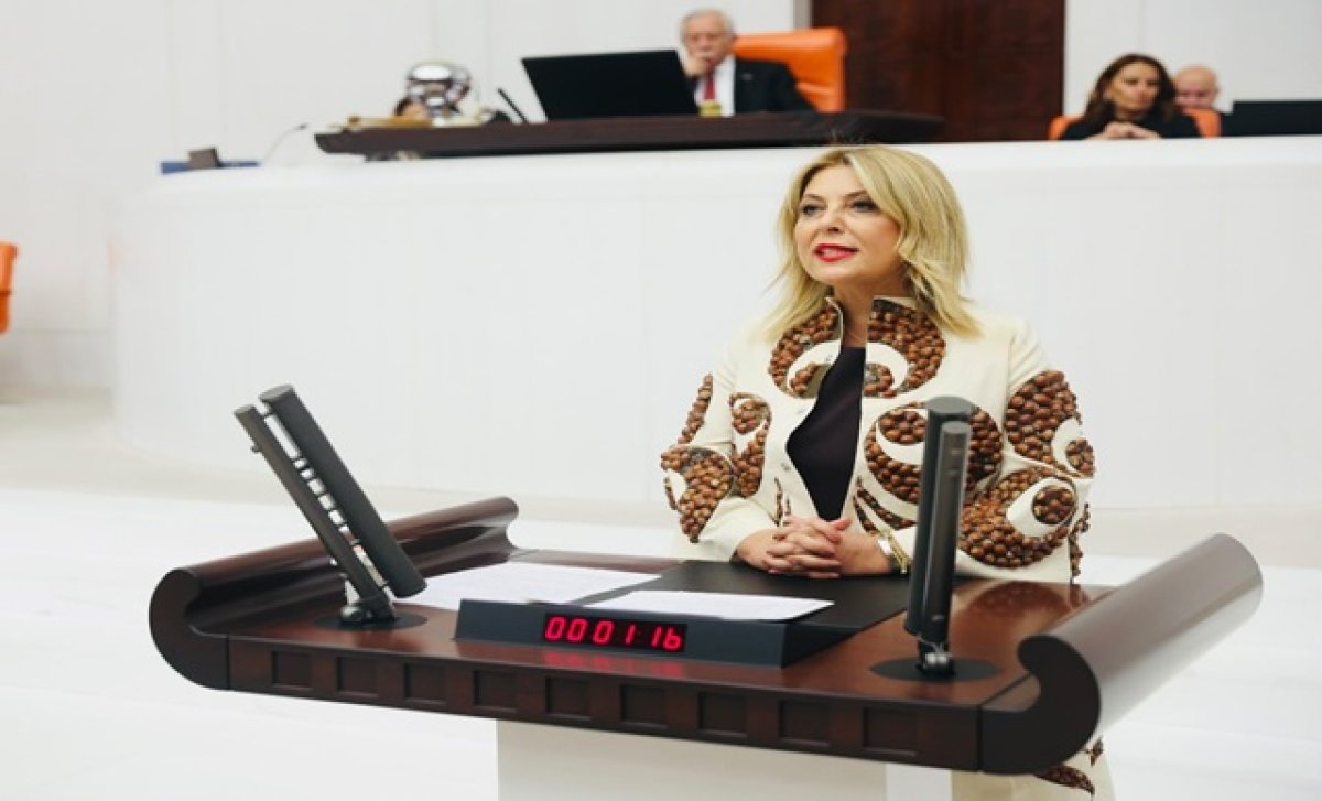 CHP'li Gezmiş: Fındık Üreticisinin Sorunlarını Gündeme Taşıyor
