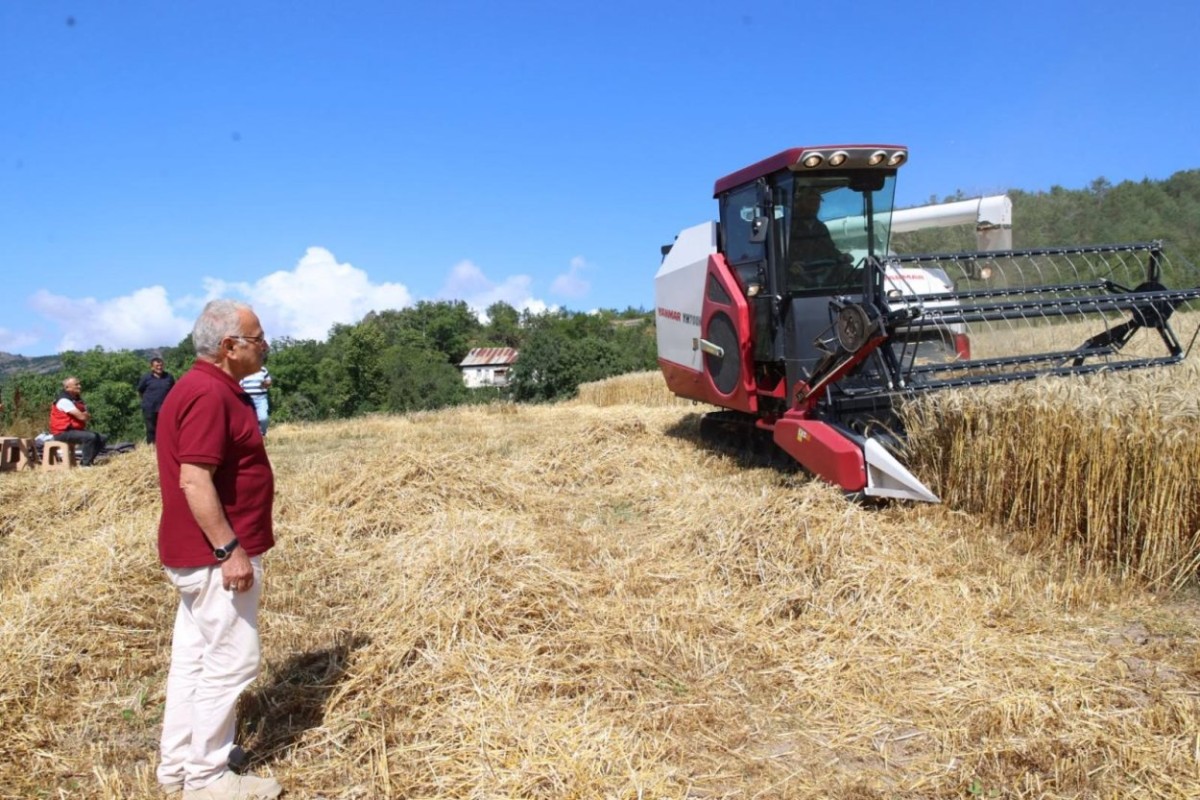 Ordu’da Buğday Hasadında Yeni Dönem